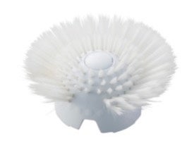 「スクラブブラシ」イメージ