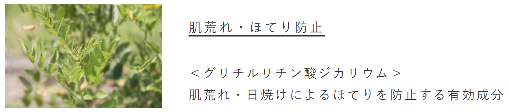 ※画像はすべてイメージです