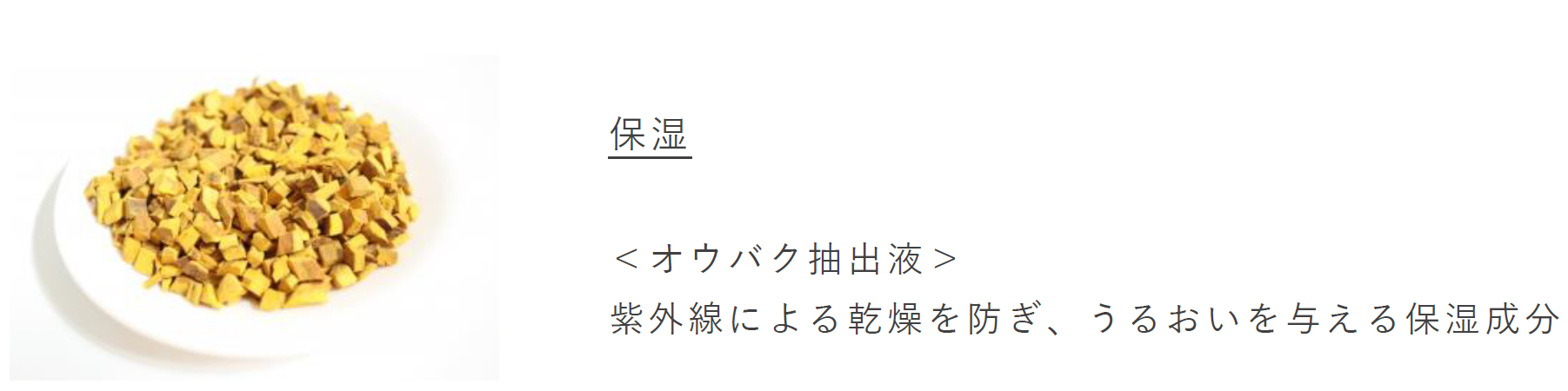 ※画像はすべてイメージです