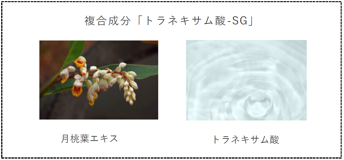 ※画像はすべてイメージです