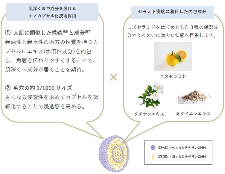 ※画像はイメージです