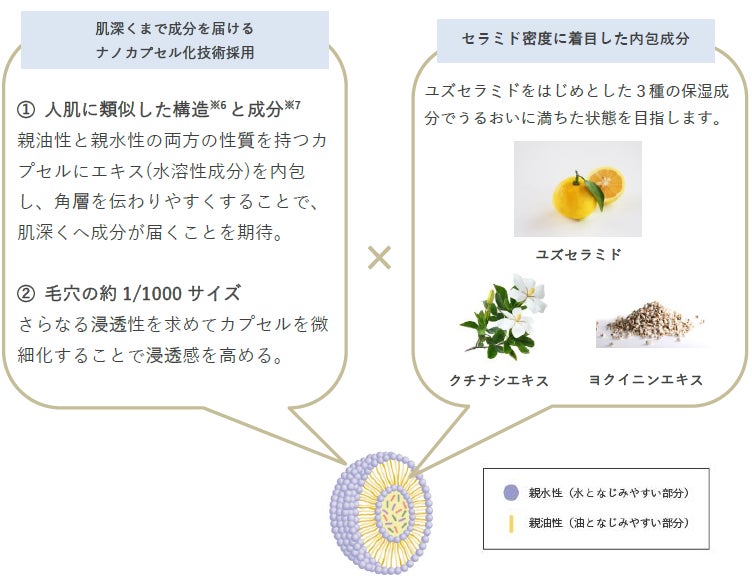 ※画像はイメージです