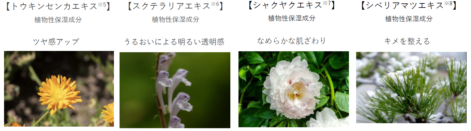 ※画像はすべてイメージ