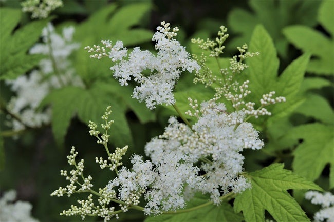 ※画像はイメージ