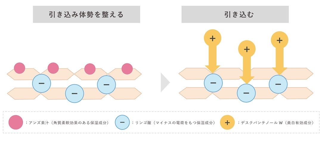 ※画像はイメージ
