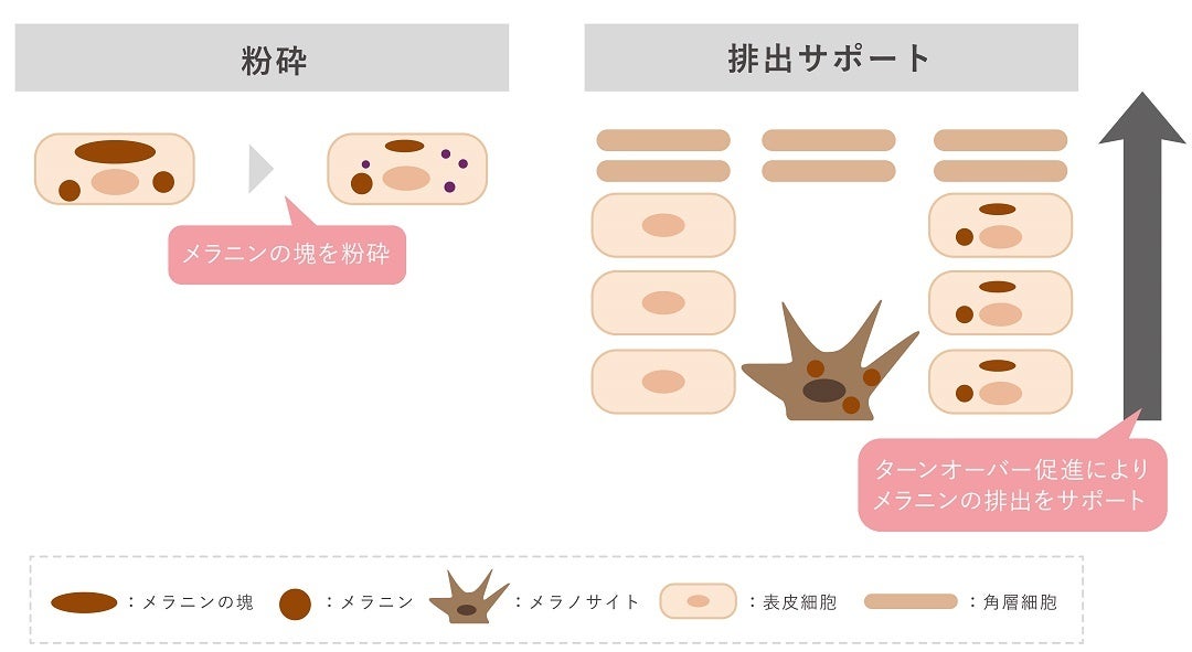 ※画像はイメージ