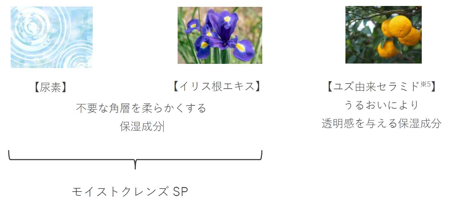 ※画像はすべてイメージ