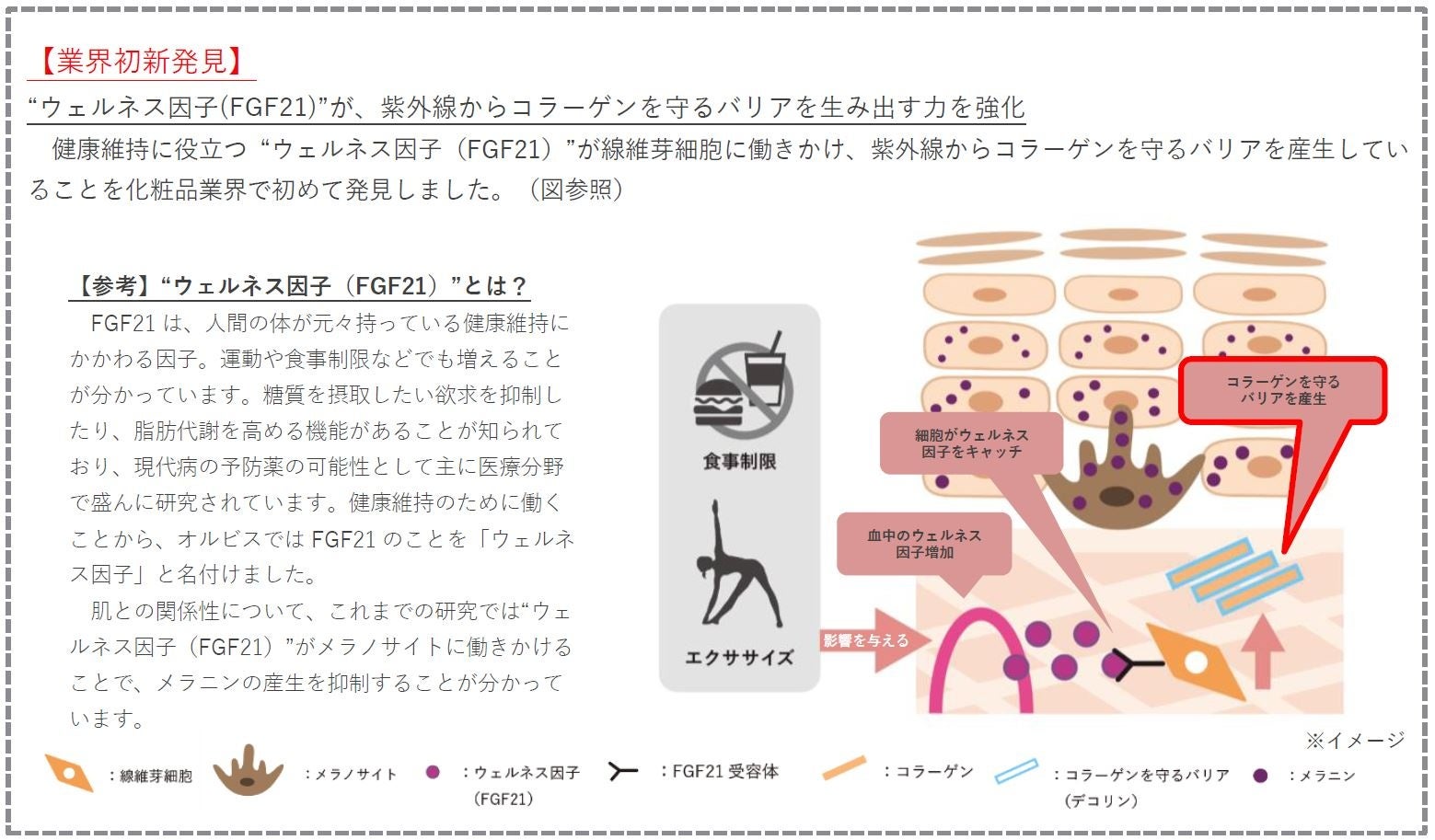 【新品未使用】オルビス 日焼け止め&セラム 数量限定新発売】ベストコスメ獲得数 69 冠※1を記録！シワ改善