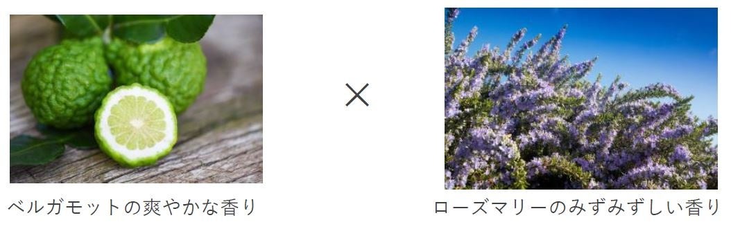 ※画像はイメージです