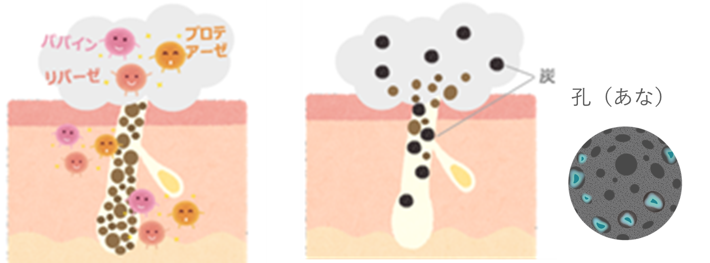 ※図はイメージ