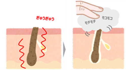 ※図はイメージ