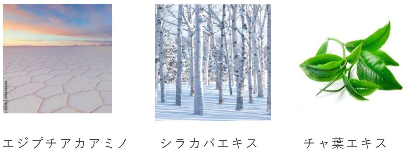 ※画像はすべてイメージ