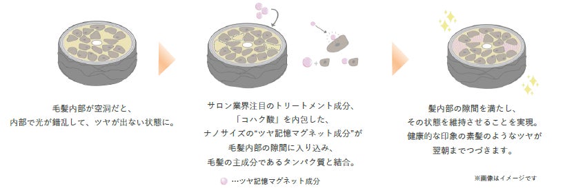 エッセンスインシリーズ(出典: PR TIMES)
