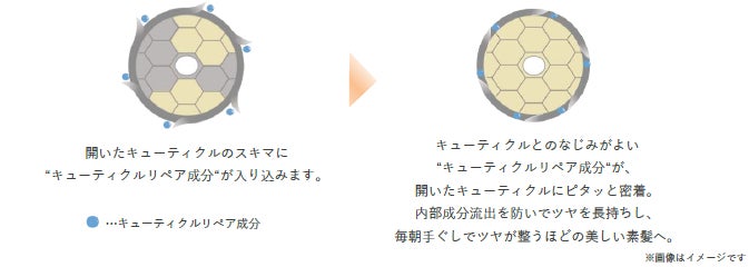 エッセンスインシリーズ(出典: PR TIMES)