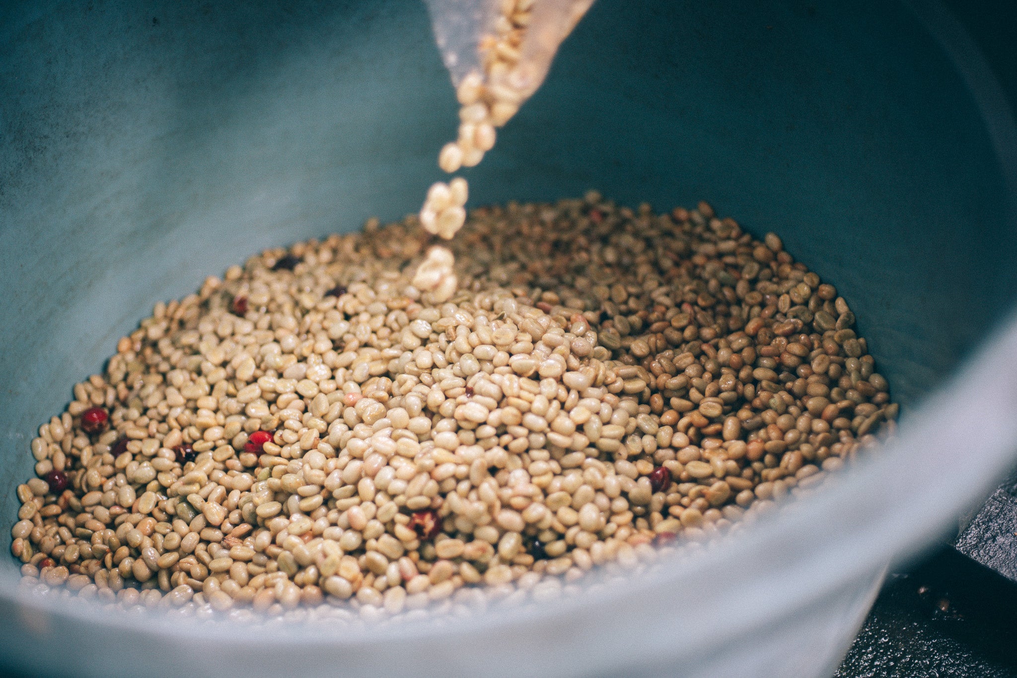 皮を剥いたコーヒー