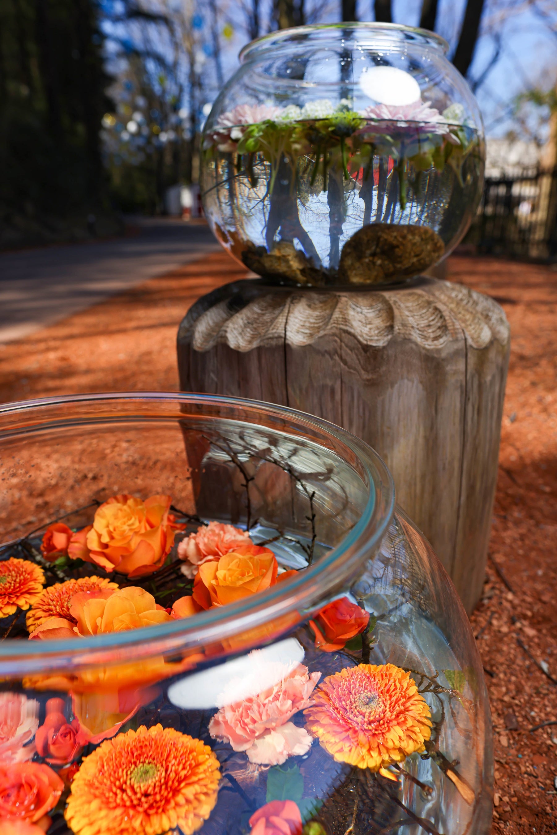 3 16 水 から Floating Flower Walk ムーミンバレーパークの花手水 を開催 株式会社ムーミン物語のプレスリリース