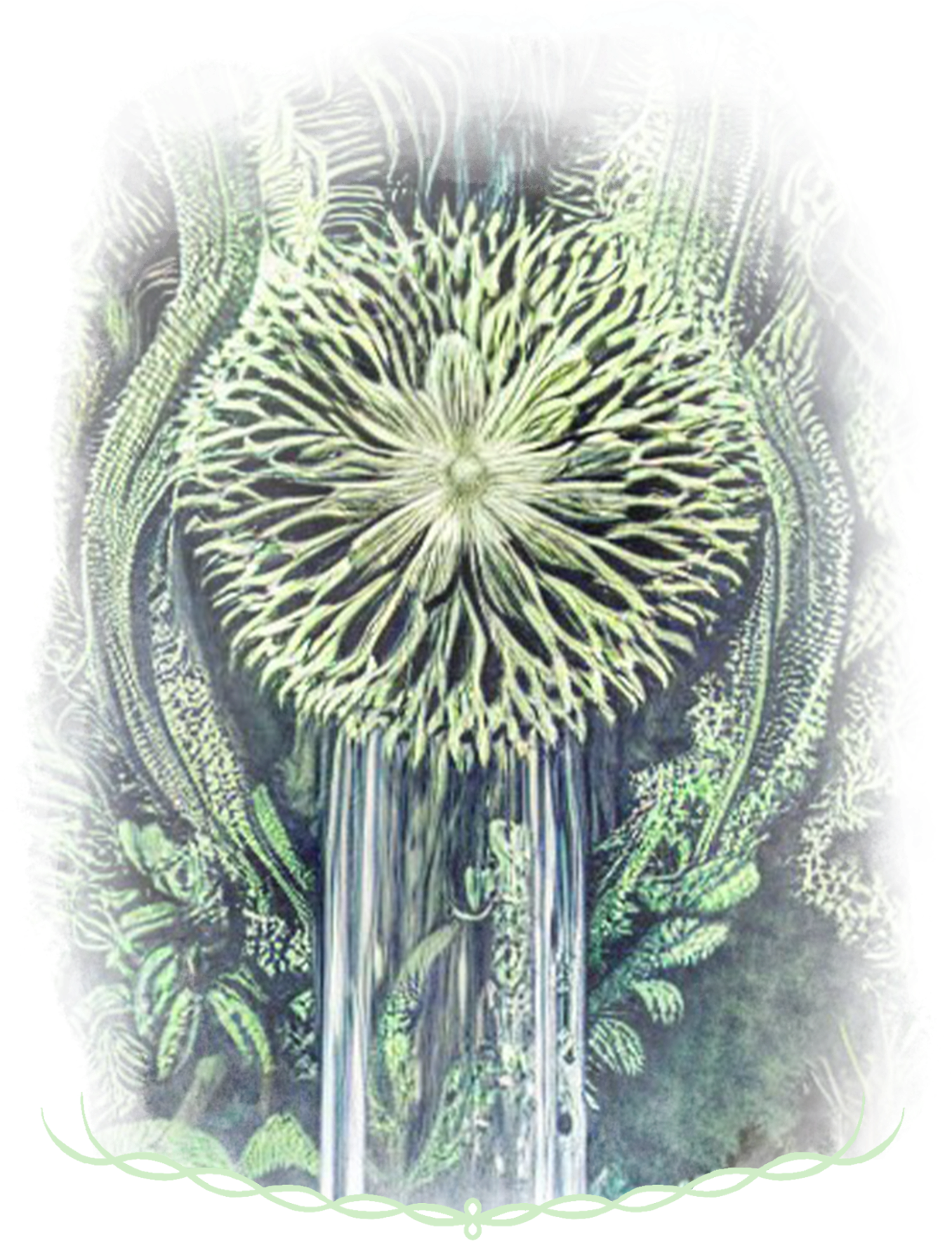 モリヤシロ -杜社-