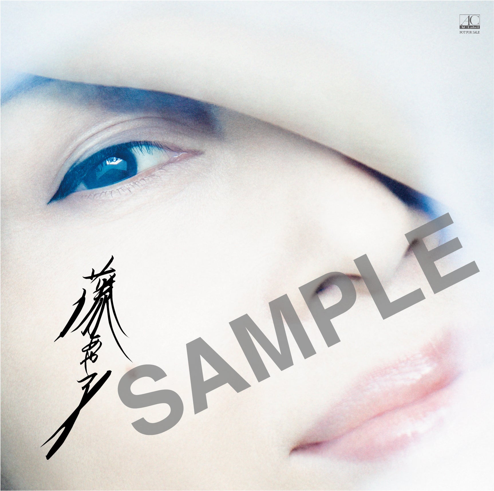 複製サイン入りメガジャケ