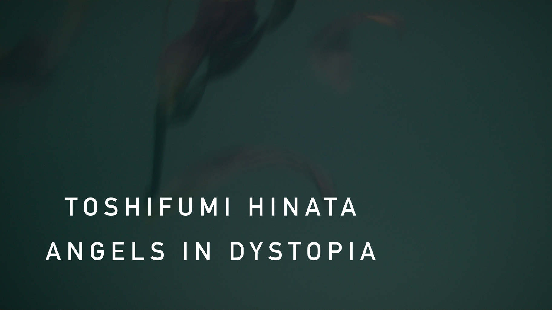 「Angels in Dystopia」MV