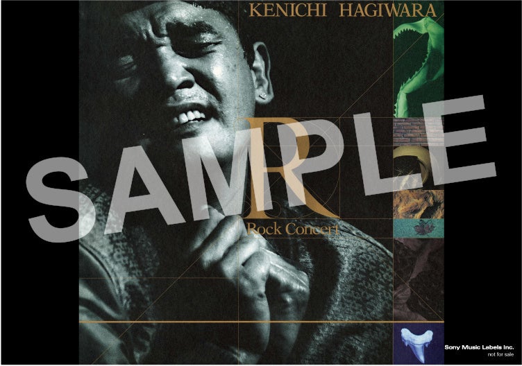 Amzon特典：ビジュアルシート 画柄例