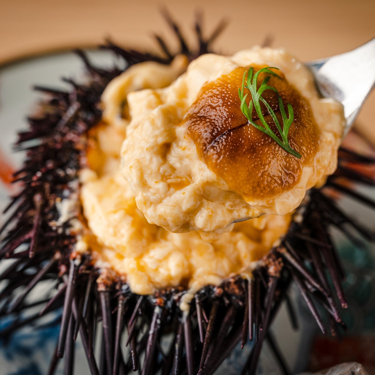 【うにプリン390円】 うにを贅沢に使用した滑らかな口当たりが特長のうにぷりんをお手頃な価格でご提供。うにの殻に入ったビジュアルが映えるメニュー