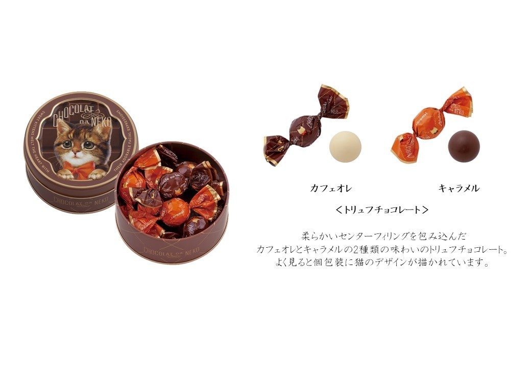 さみしがり屋のルーク 6個入 価格:648円(本体価格:600円)