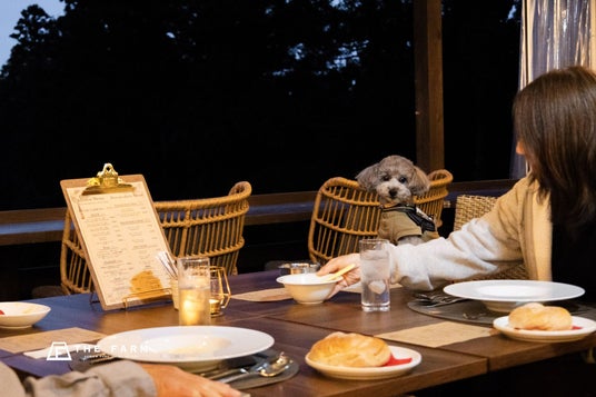【愛犬の記念日にも】千葉・THE FARMカフェに、わんちゃん専用ディナーコースが新登場。日帰りでも宿泊でも楽しめる、愛犬との特別な夜を提案 【愛犬の記念日にも】千葉・THE FARMカフェに、わんちゃん専用ディナーコースが新登場。日帰りでも宿泊でも楽しめる、愛犬との特別な夜を提案
