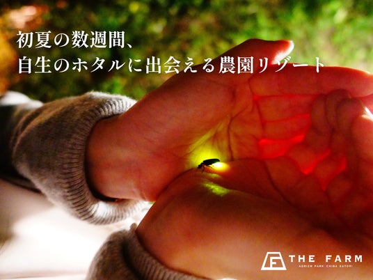千葉・香取の里山に、今年も自生のホタルの光。農園リゾートTHE FARMでご宿泊者様限定のホタル観賞体験を実施 千葉・香取の里山に、今年も自生のホタルの光。農園リゾートTHE FARMでご宿泊者様限定のホタル観賞体験を実施