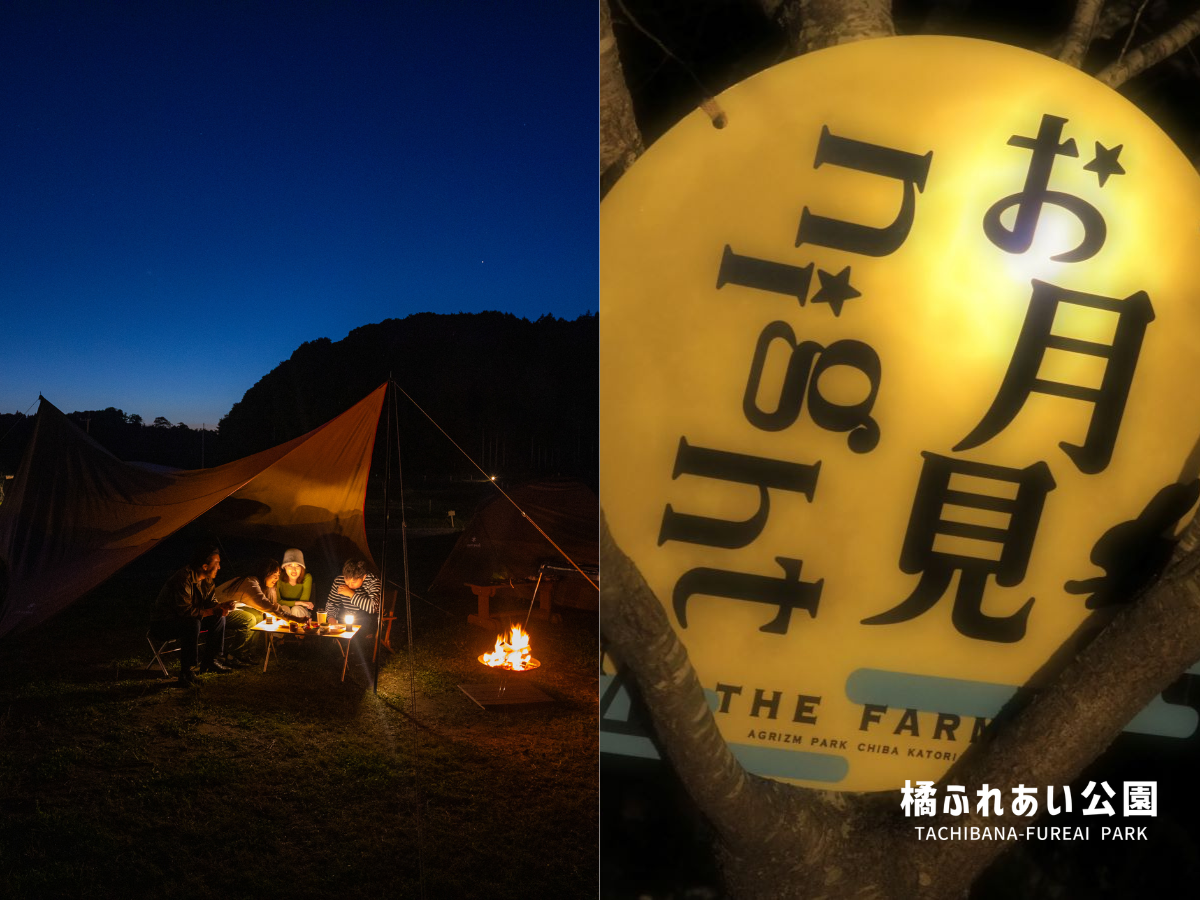 【橘ふれあい公園×農園リゾートTHE FARM】中秋の名月を含む12日間。キャンプ場宿泊者限定「お月見night2026」開催。無料の竹あかりランプ作りも|千葉・香取