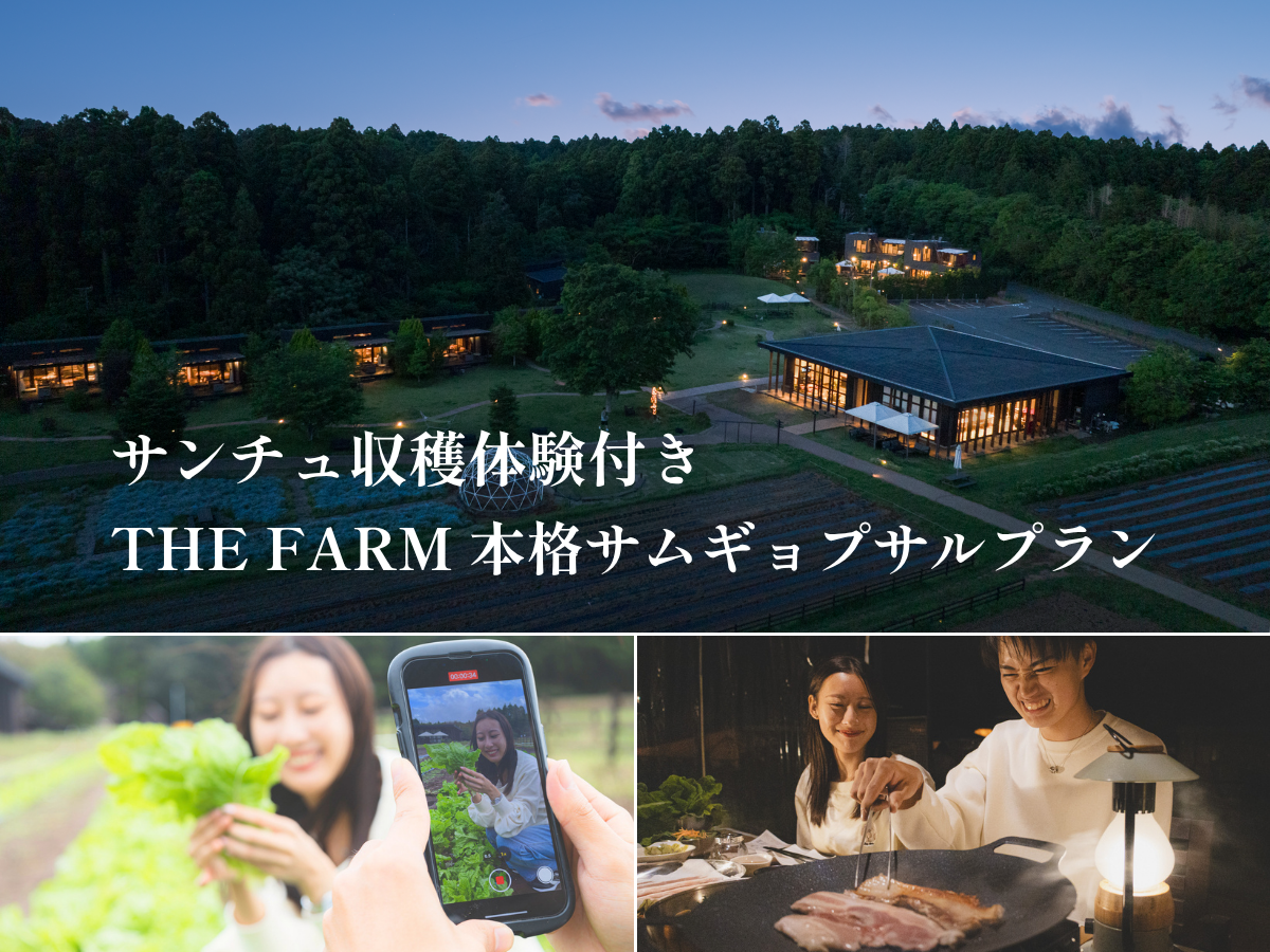 【10/31まで】千葉・香取の農園リゾート「THE FARM」で秋の韓国グルメステイ。畑でサンチュを収穫し、夕食は本格サムギョプサル。