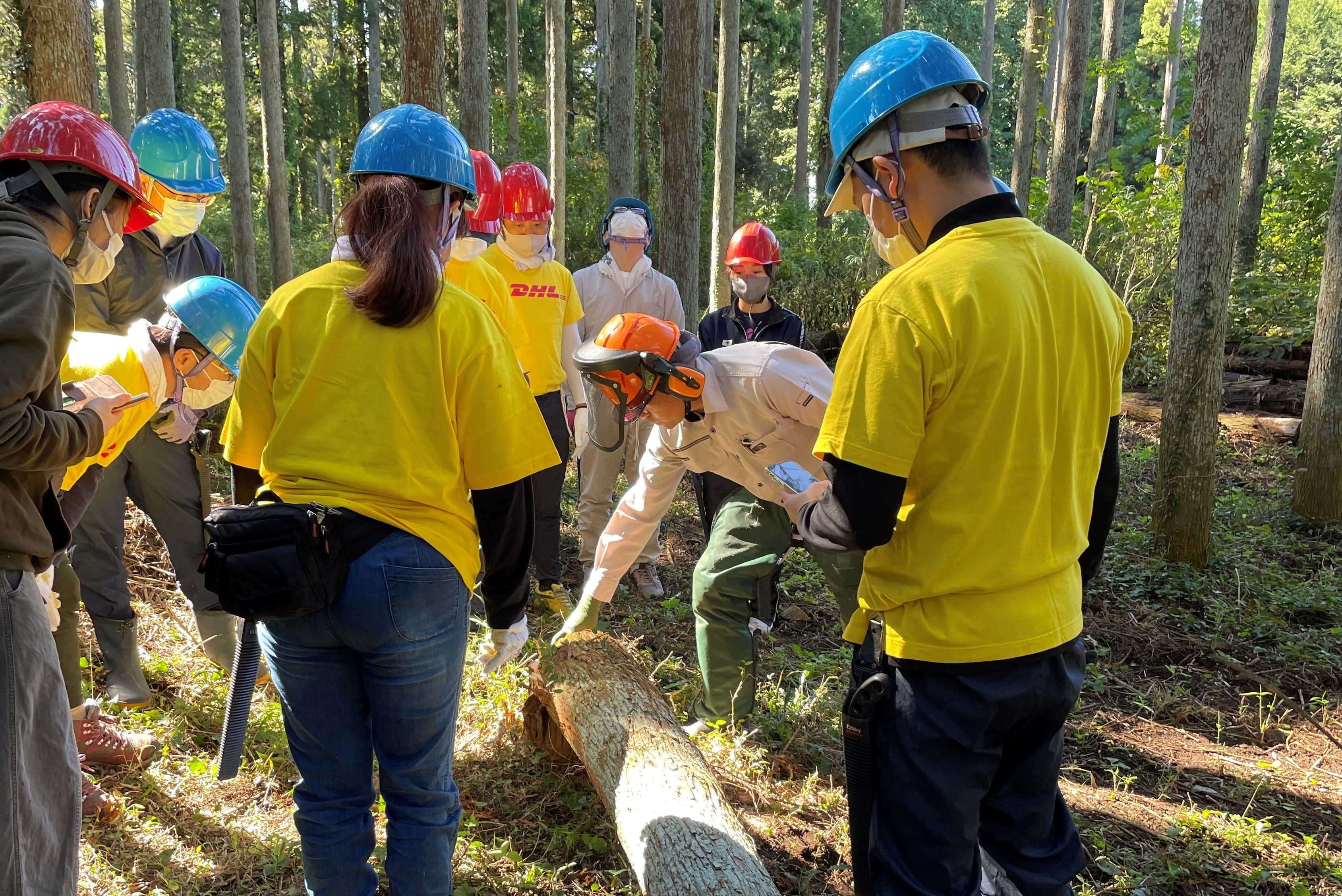 千葉県での森林整備活動に従事するDHL従業員