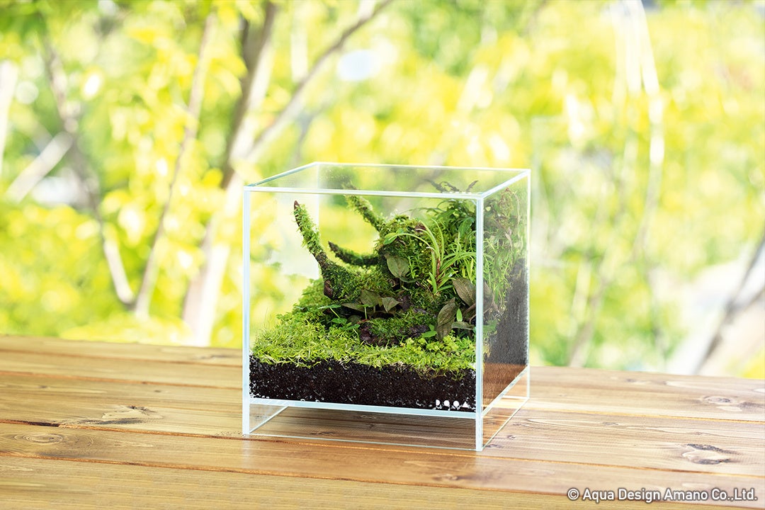 ネイチャーアクアリウム展 が関西初上陸 4月27日 水 前売券の販売開始 テレビ大阪株式会社のプレスリリース ネイチャーアクアリウム展 が関西初上陸 4月27日 水 前売券の販売開始 テレビ大阪株式会社のプレスリリース