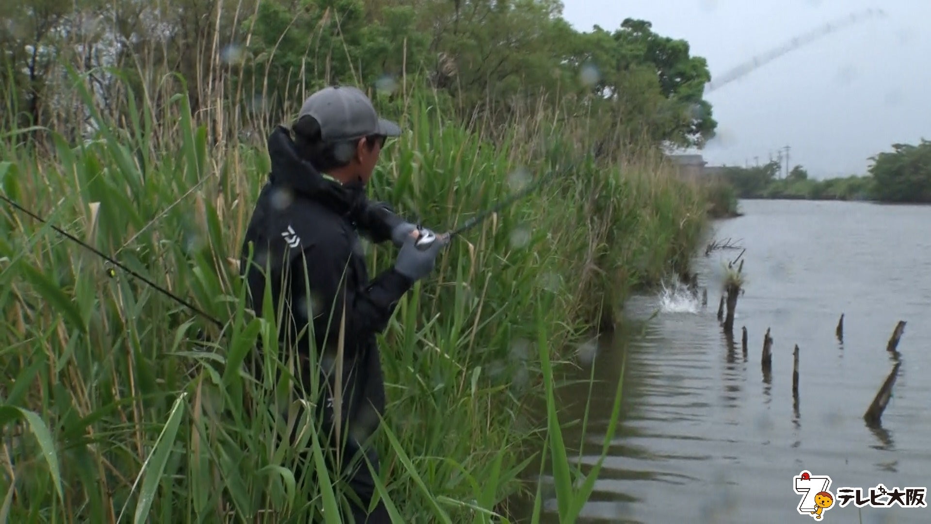 フロッグの魅力満載 岐阜県五三川を舞台にバスフィッシング テレビ大阪株式会社のプレスリリース フロッグの魅力満載 岐阜県五三川を舞台にバスフィッシング テレビ大阪株式会社のプレスリリース
