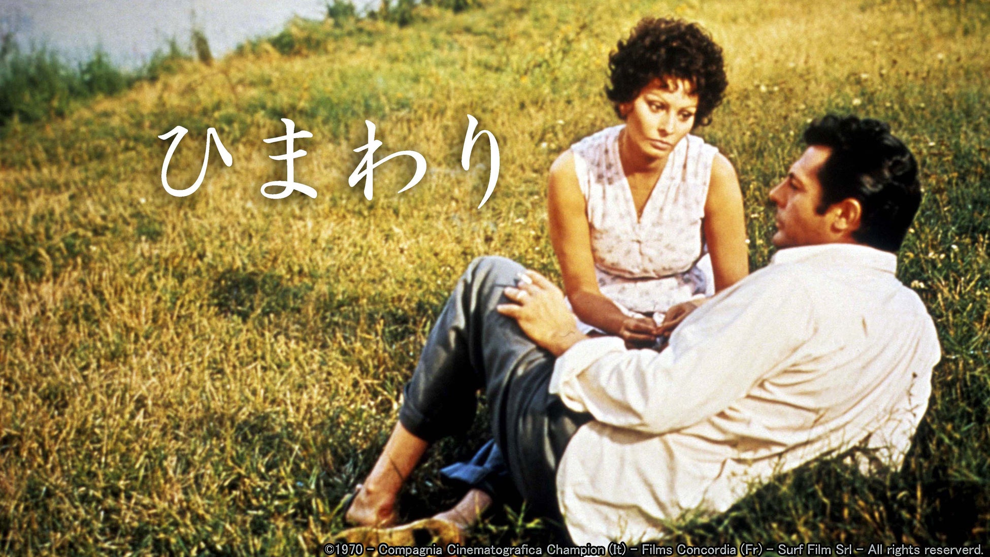 映画『ひまわり』テレビ大阪で8月6日土曜よる6時58分放送!日本人に愛された不朽の名作を今回新たに制作された日本語吹替版でお送りします。