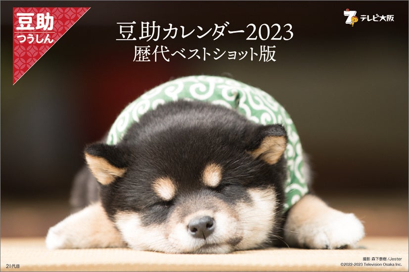 【6月】豆柴助 豆助んち019】豆助、歯磨きの練習中！＜柴犬・豆柴＞ - YouTube