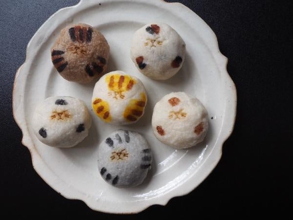新年はにゃんこイベントでスタートฅ^. ̫ .^ฅ なんばスカイオに猫