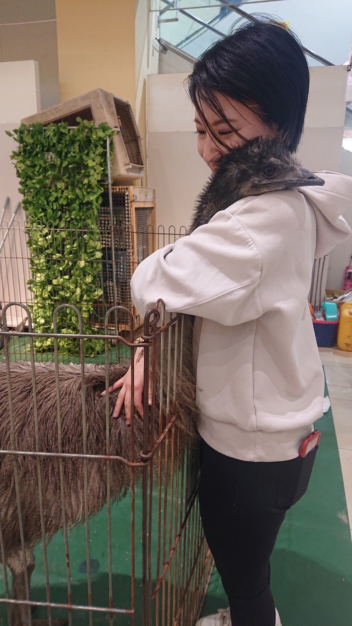 エミューとハグ