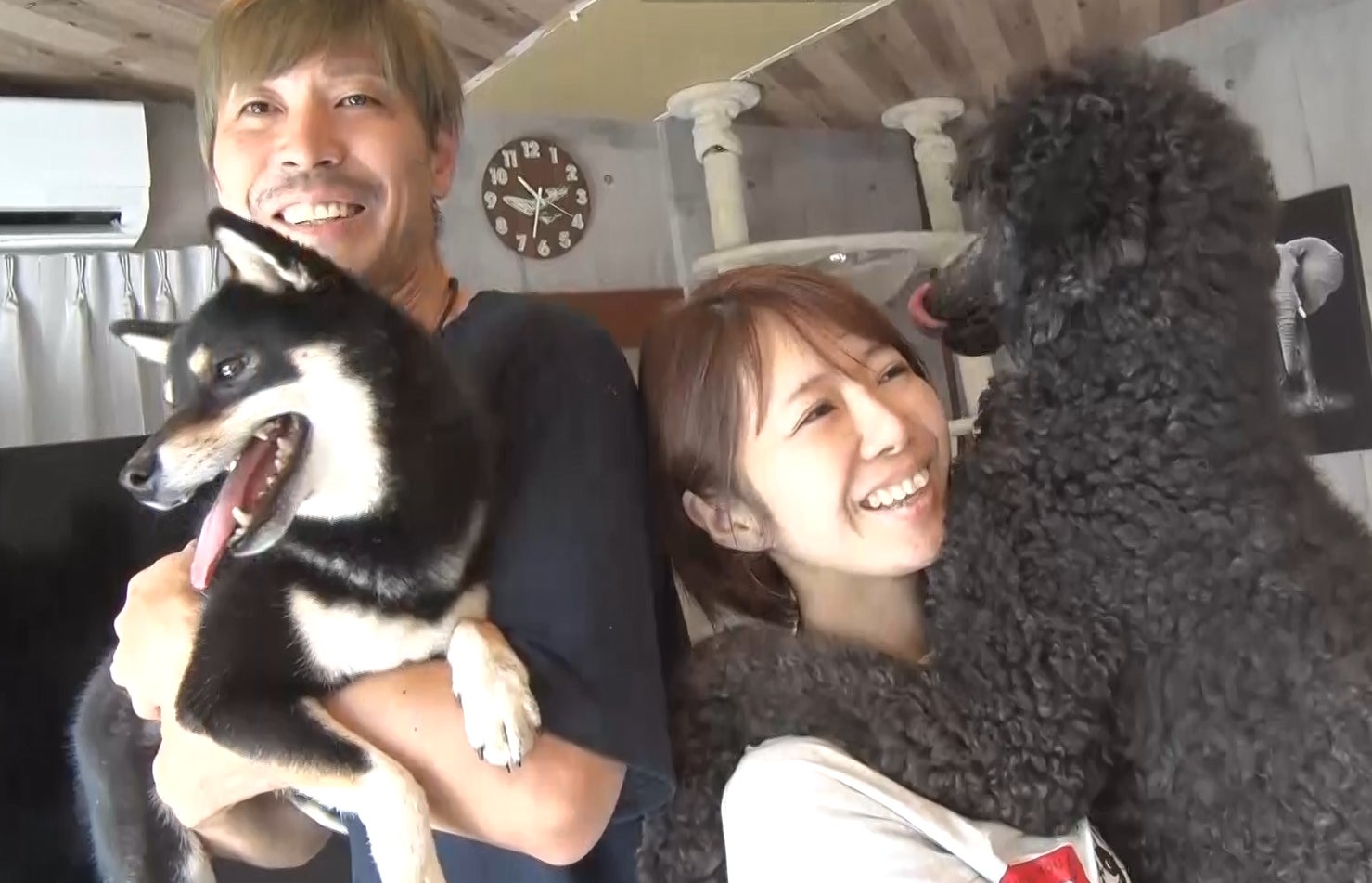 あにまるず Animals あにまるず Animals