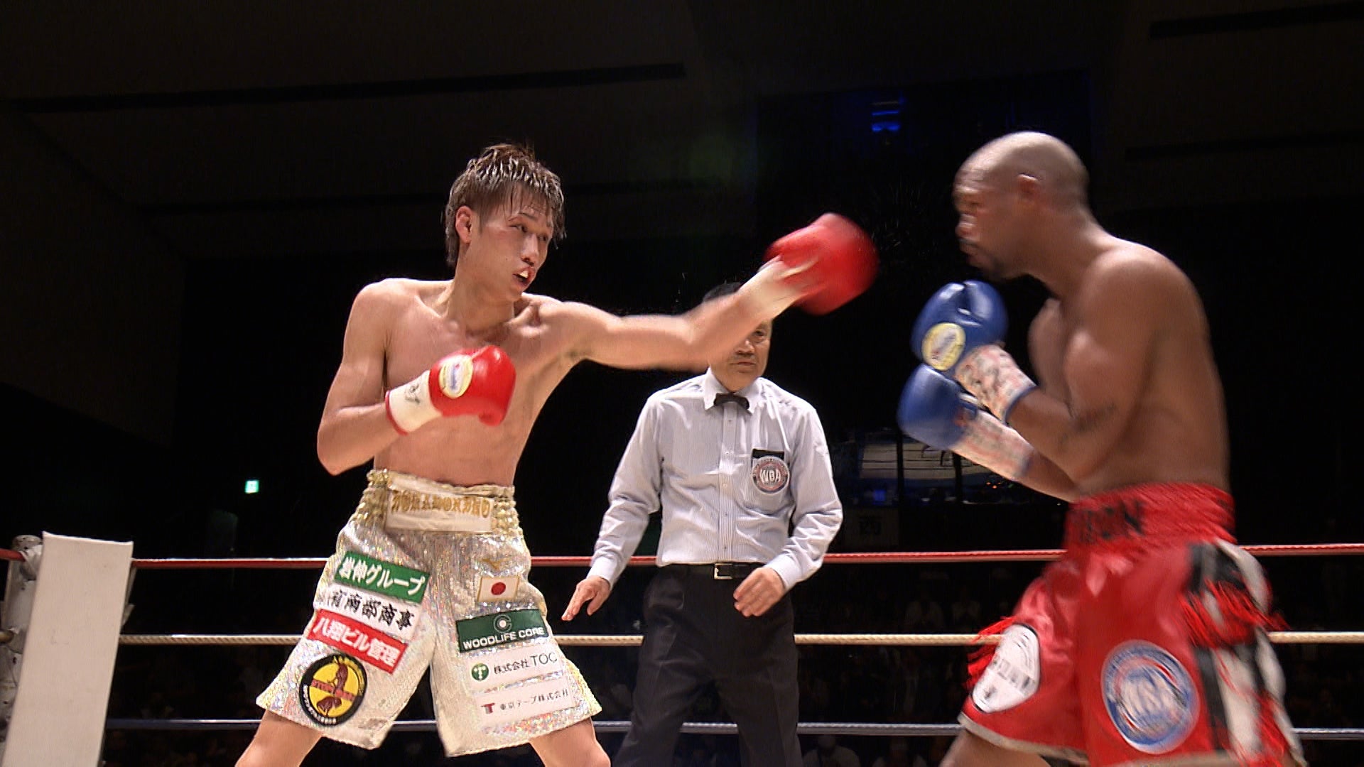 ナビゲーター・鳥谷敬が追う!5人のアスリートの奮闘ドキュメンタリー「ネクスト~さらなる高みへ~」12月30日(土)放送 ナビゲーター・鳥谷敬が追う!5人のアスリートの奮闘ドキュメンタリー「ネクスト~さらなる高みへ~」12月30日(土)放送