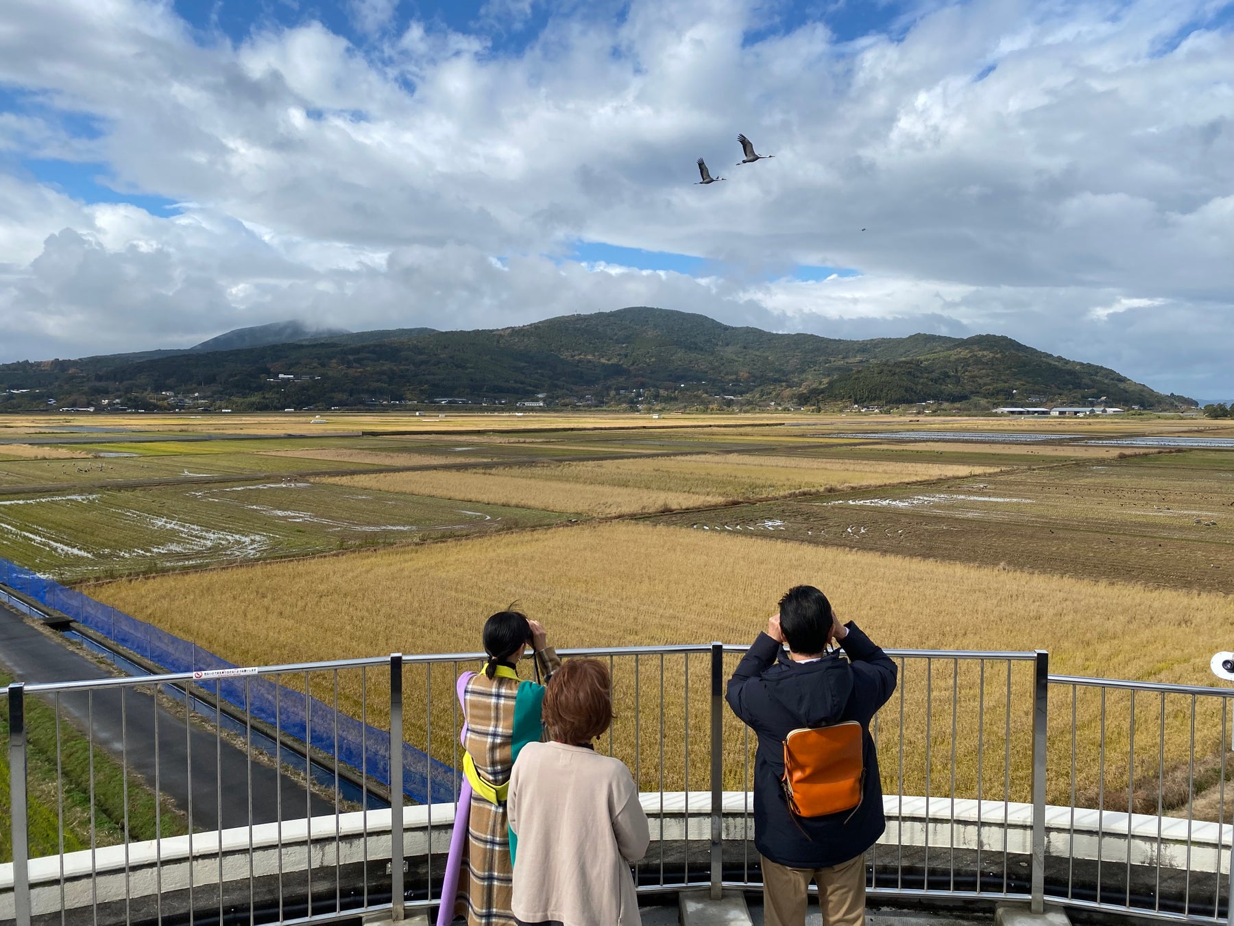 ©テレビ大阪