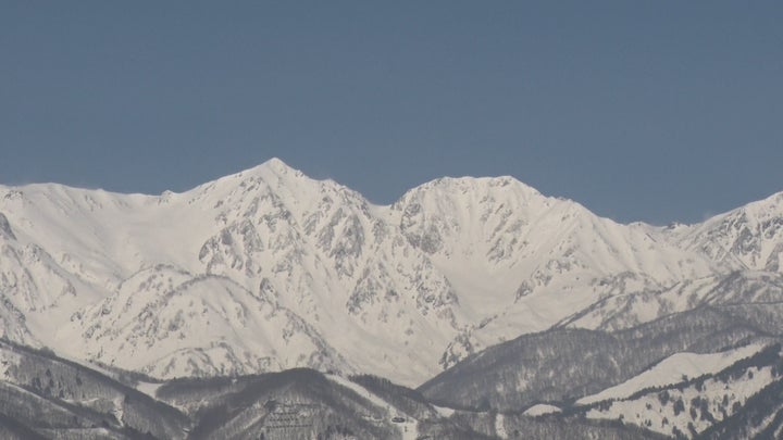 OLからオリンピックへ!31歳女性のスキーモ挑戦 OLからオリンピックへ!31歳女性のスキーモ挑戦