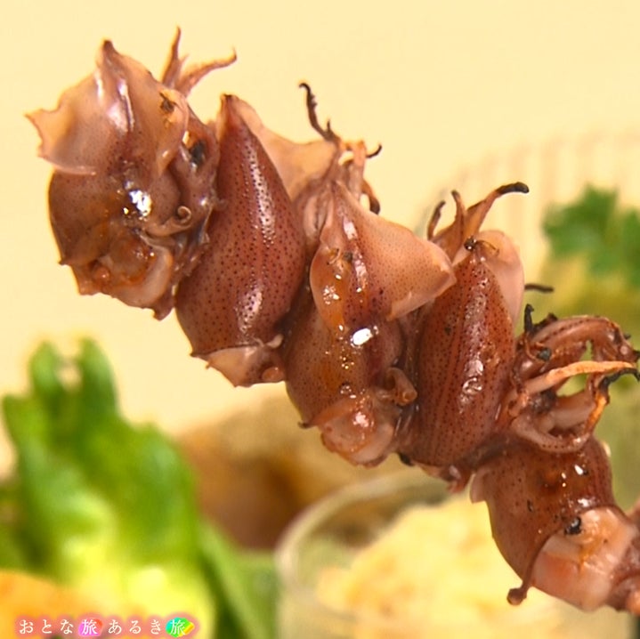 大阪城最古の建造物を訪れる!桜の城下町で美味しいもの巡りを楽しむ「おとな旅あるき旅」放送情報 大阪城最古の建造物を訪れる!桜の城下町で美味しいもの巡りを楽しむ「おとな旅あるき旅」放送情報