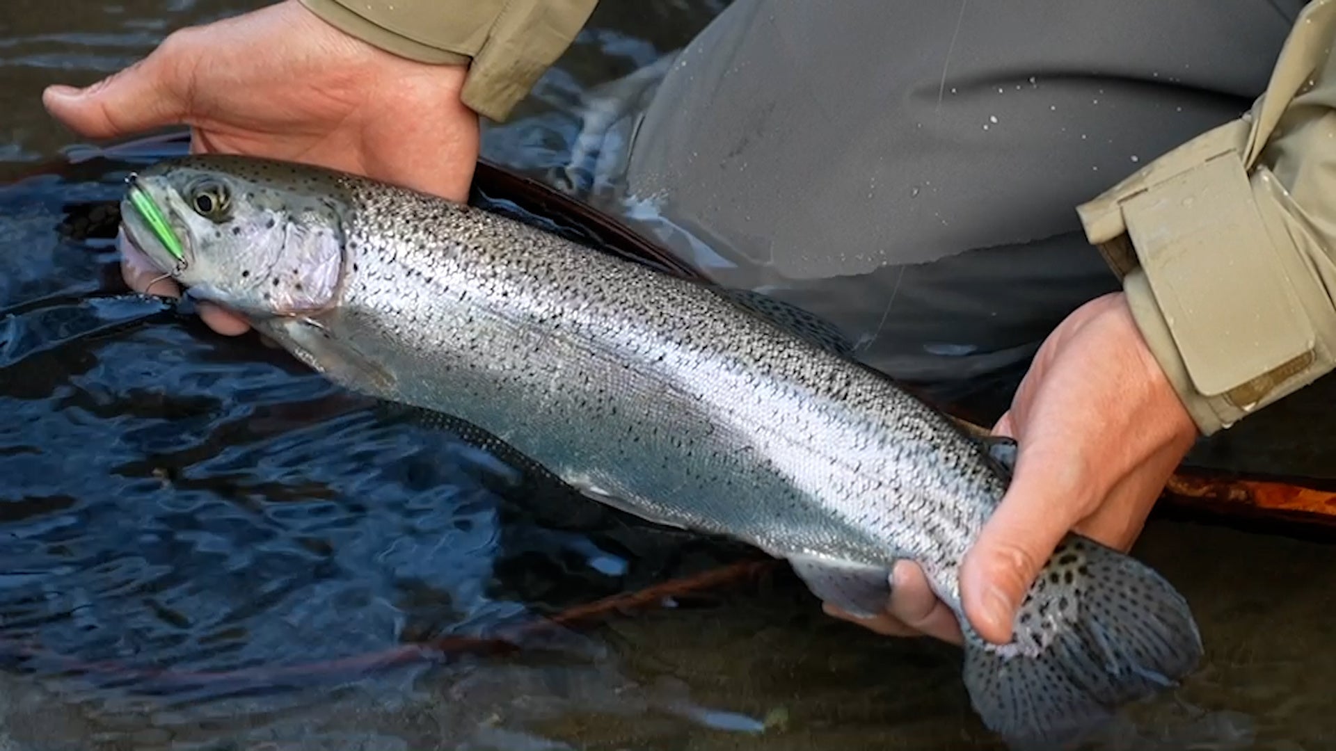 ハコスチ 　©テレビ大阪