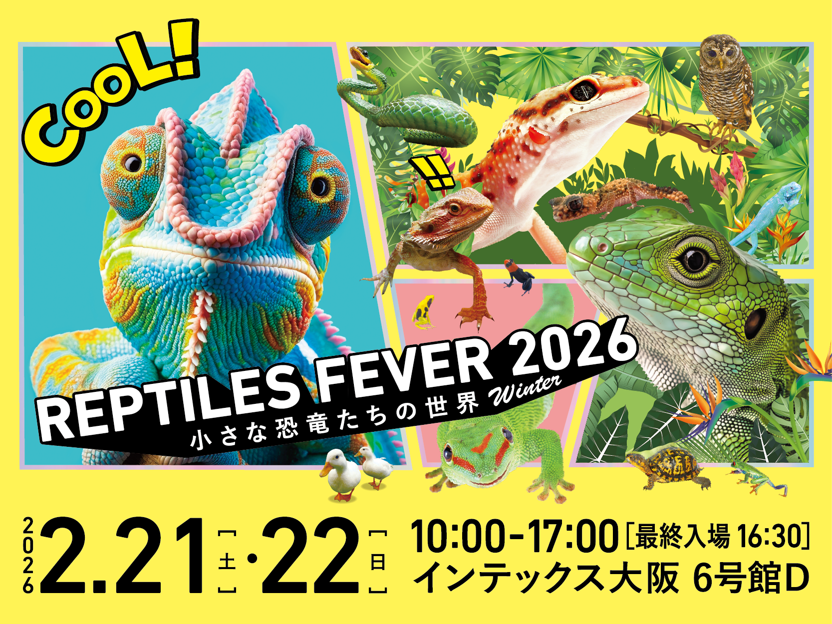 お得な前売券販売開始！爬虫類・エキゾチックアニマルイベント