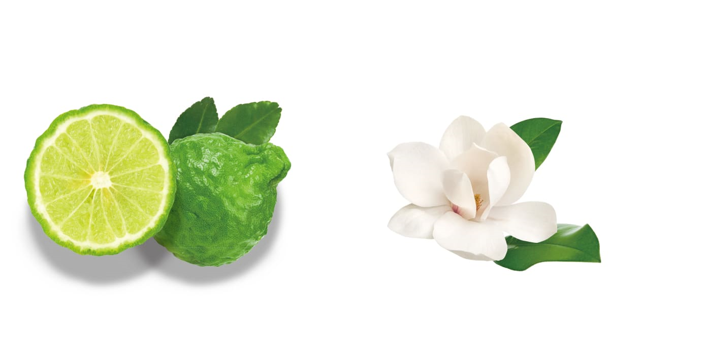 （左から）ベルガモット※10、マグノリア※11