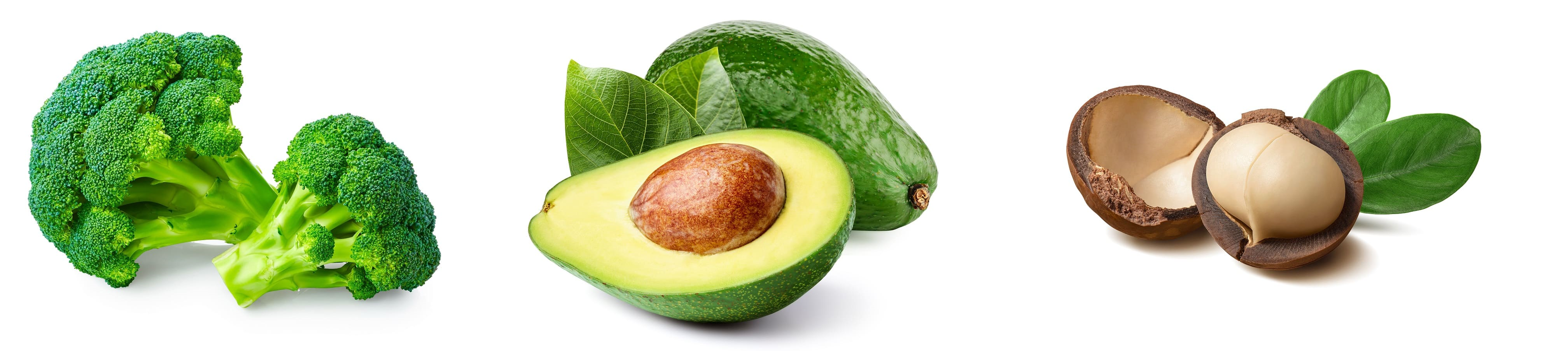 （左から）ブロッコリー種子油※3、アボカド油※4、マカデミア種子油※5