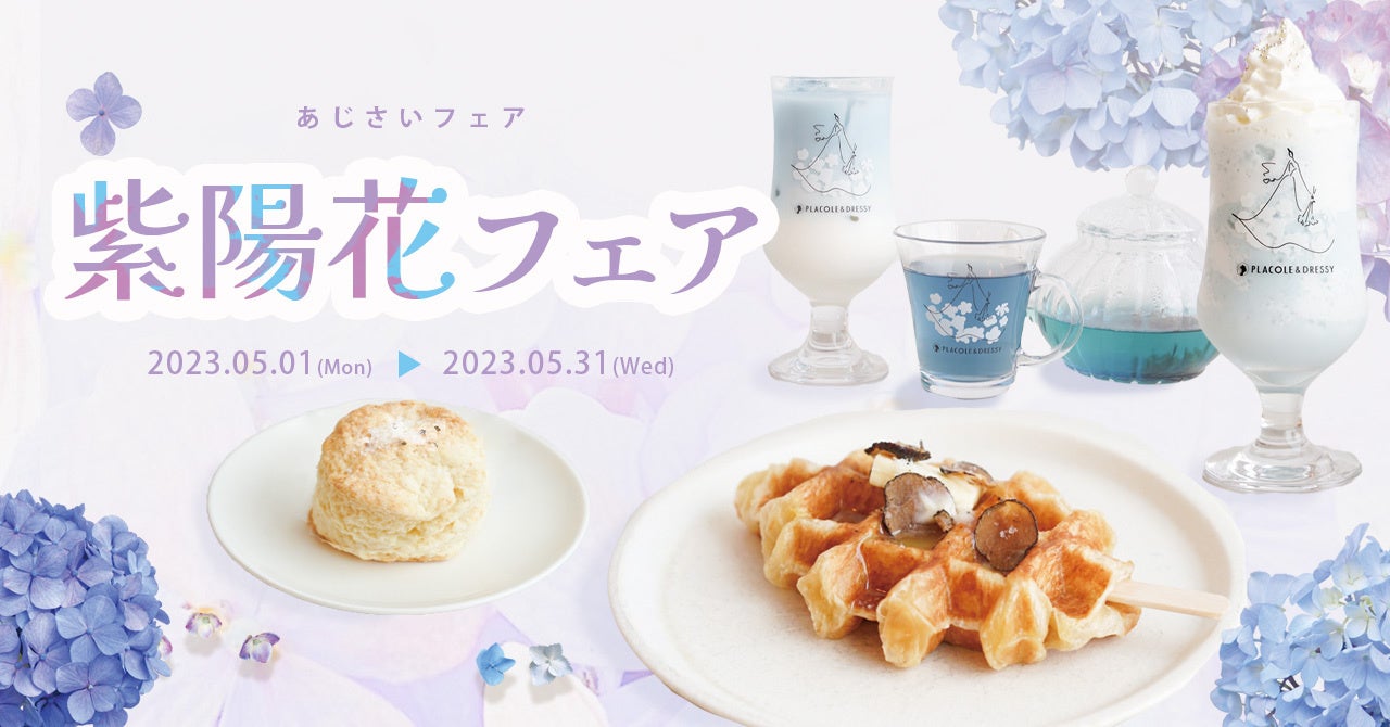 紫陽花のお部屋　シャネルリボン 紫陽花のお部屋 シャネルリボン 🪻💐紫陽花🩵💜 先月紫陽花見に
