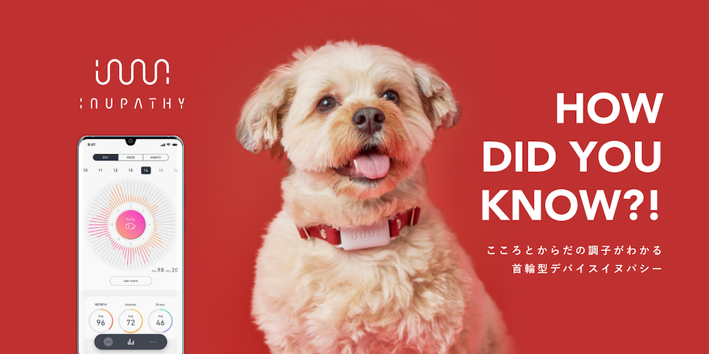 今回参加が決定したペットテック「イヌパシー」(株式会社ラングレス)