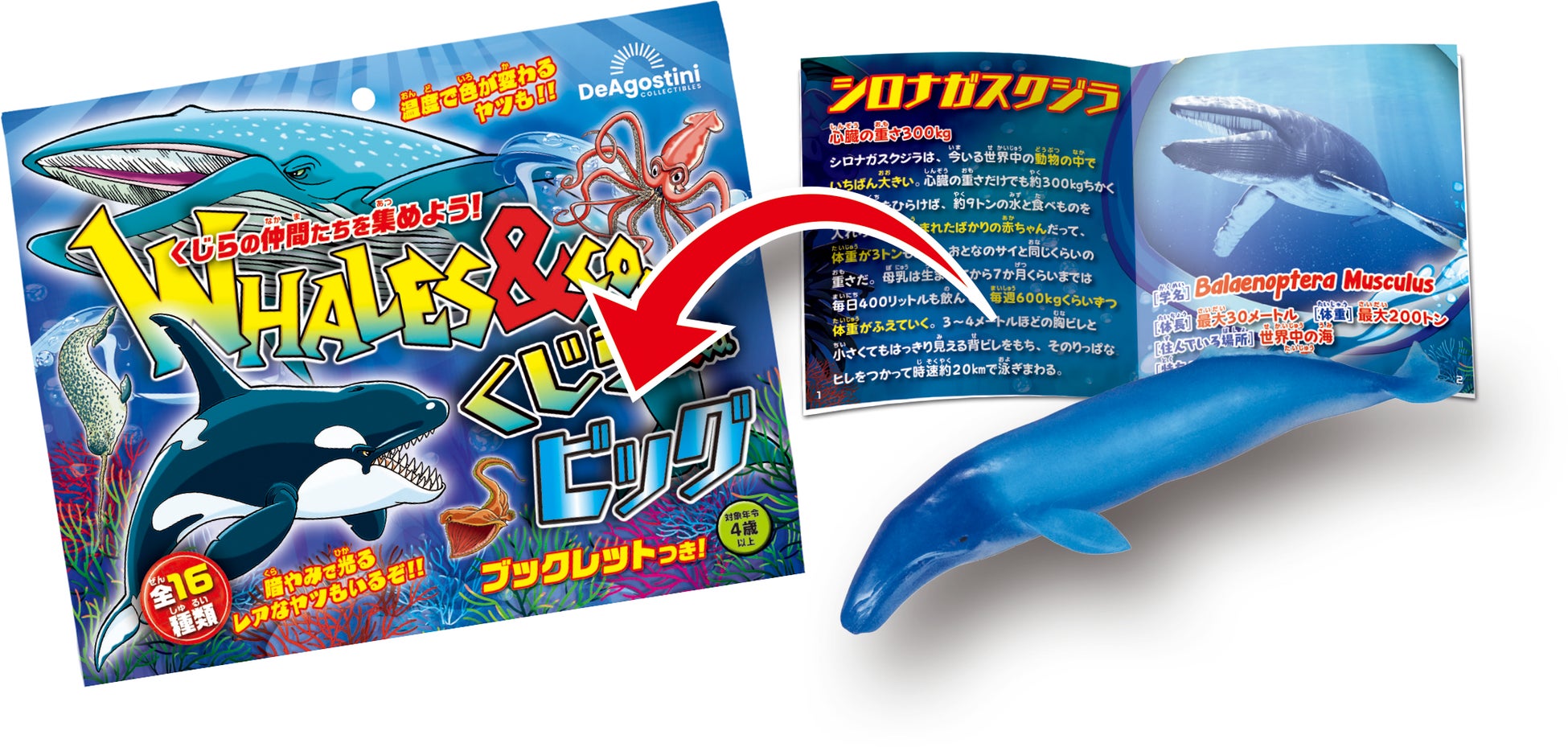 デアゴスティーニ くじら&Co.ビッグ 全16種 コンプリート 1箱 未開封 デアゴスティーニ くじら&Co.ビッグ 全16種 コンプリート 1箱