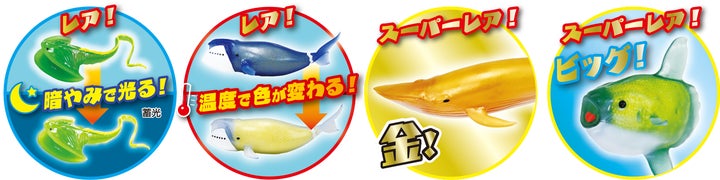 生き物について楽しく学べる「&Co.」にくじらが登場 『くじらアタック 生き物について楽しく学べる「&Co.」にくじらが登場 『くじらアタック